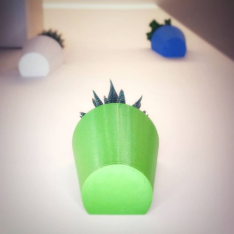 Magnetic Wall Pots – Pack of 3